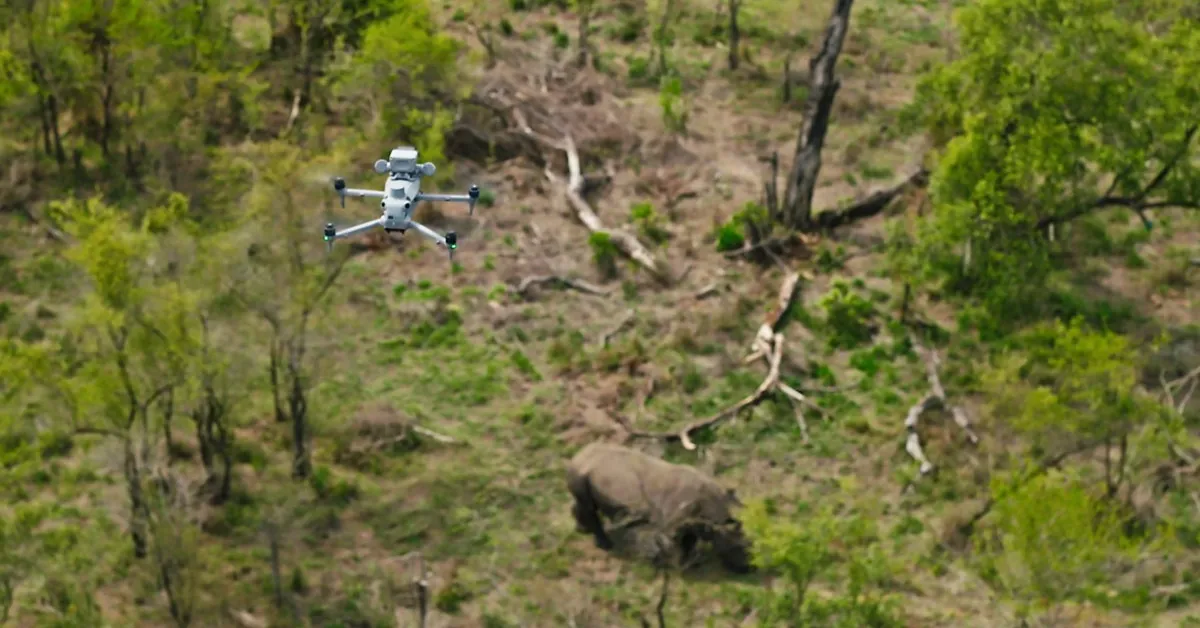 Drone patrolling over rhino in wildlife reserve